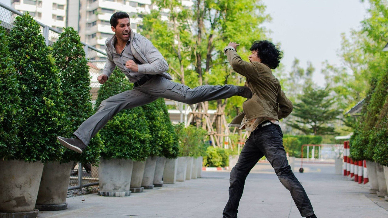 Ninja Collection background